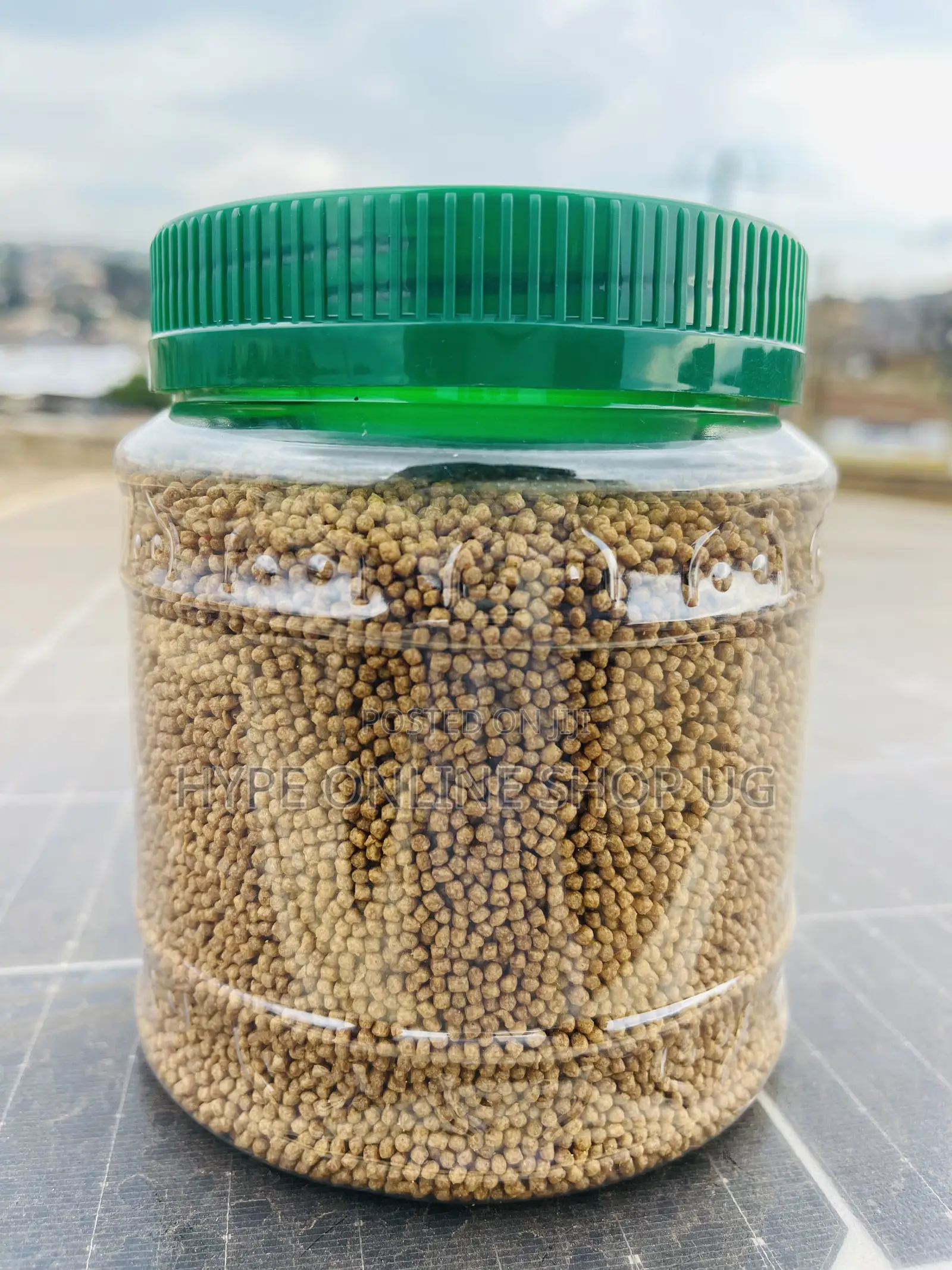 Suitable Feeds for Aquarium Fish