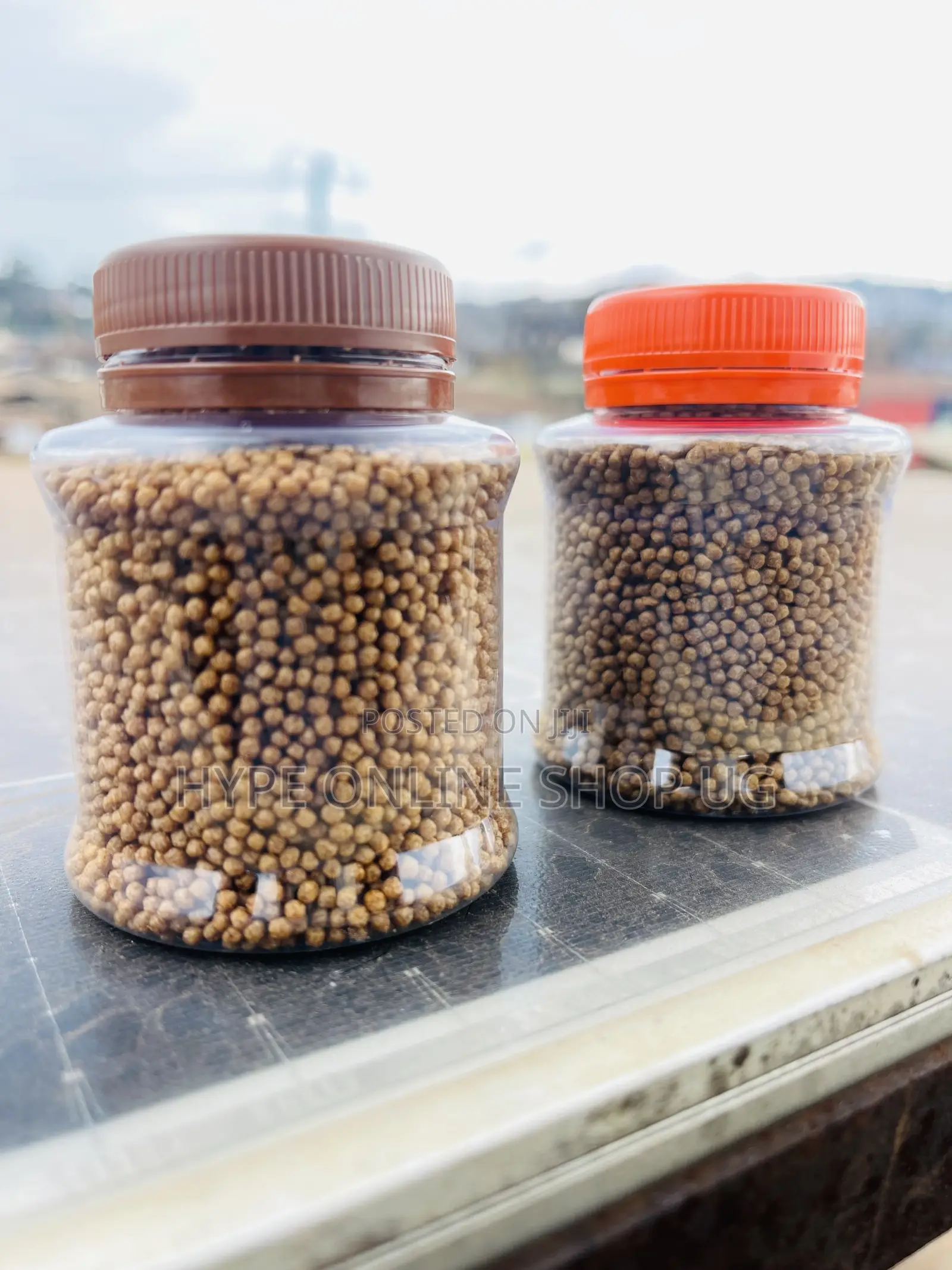 Health Double Packed Feeds for Aquarium Fish