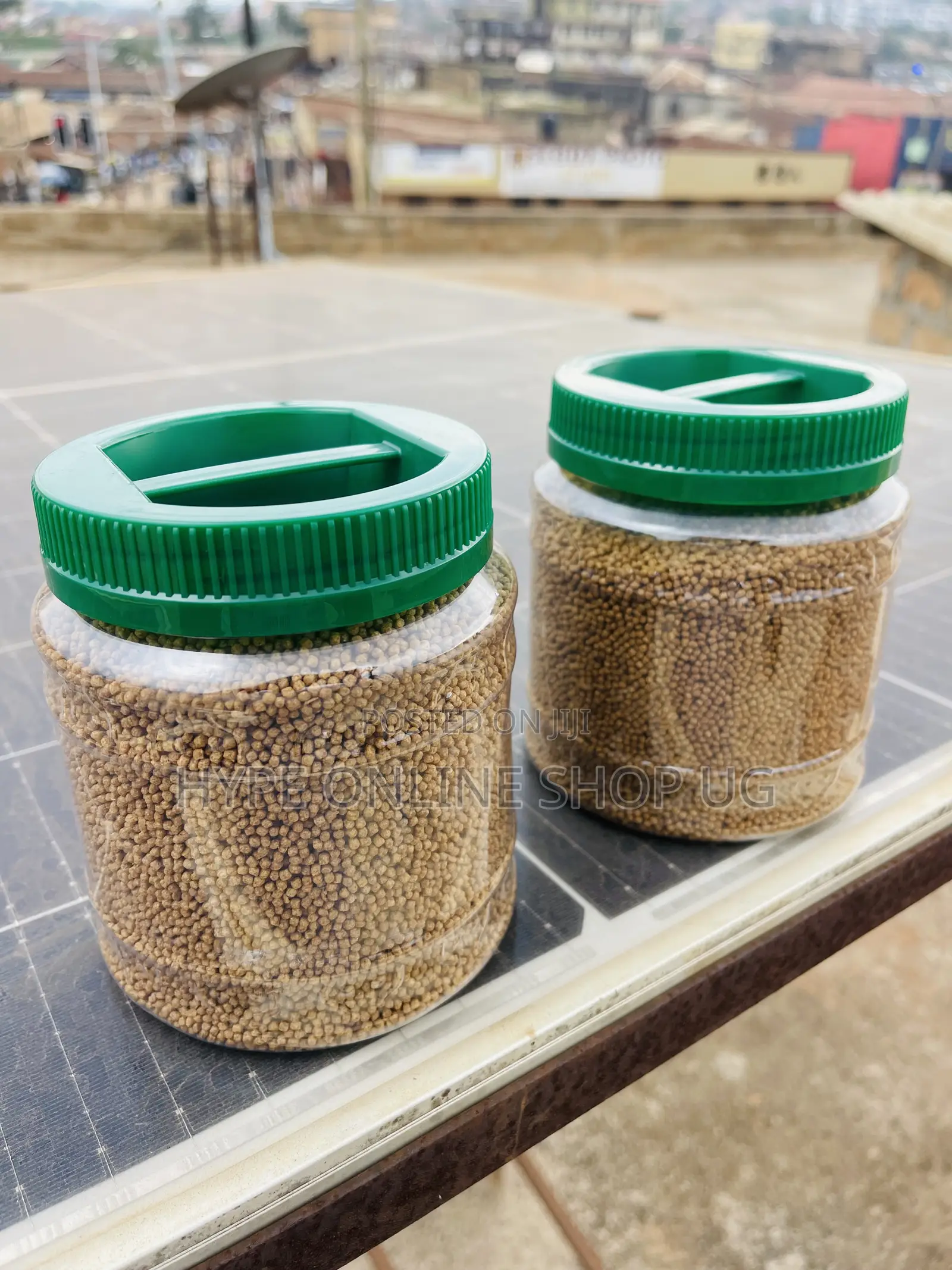 Nutritious Fish Aquarium Fish Feeds