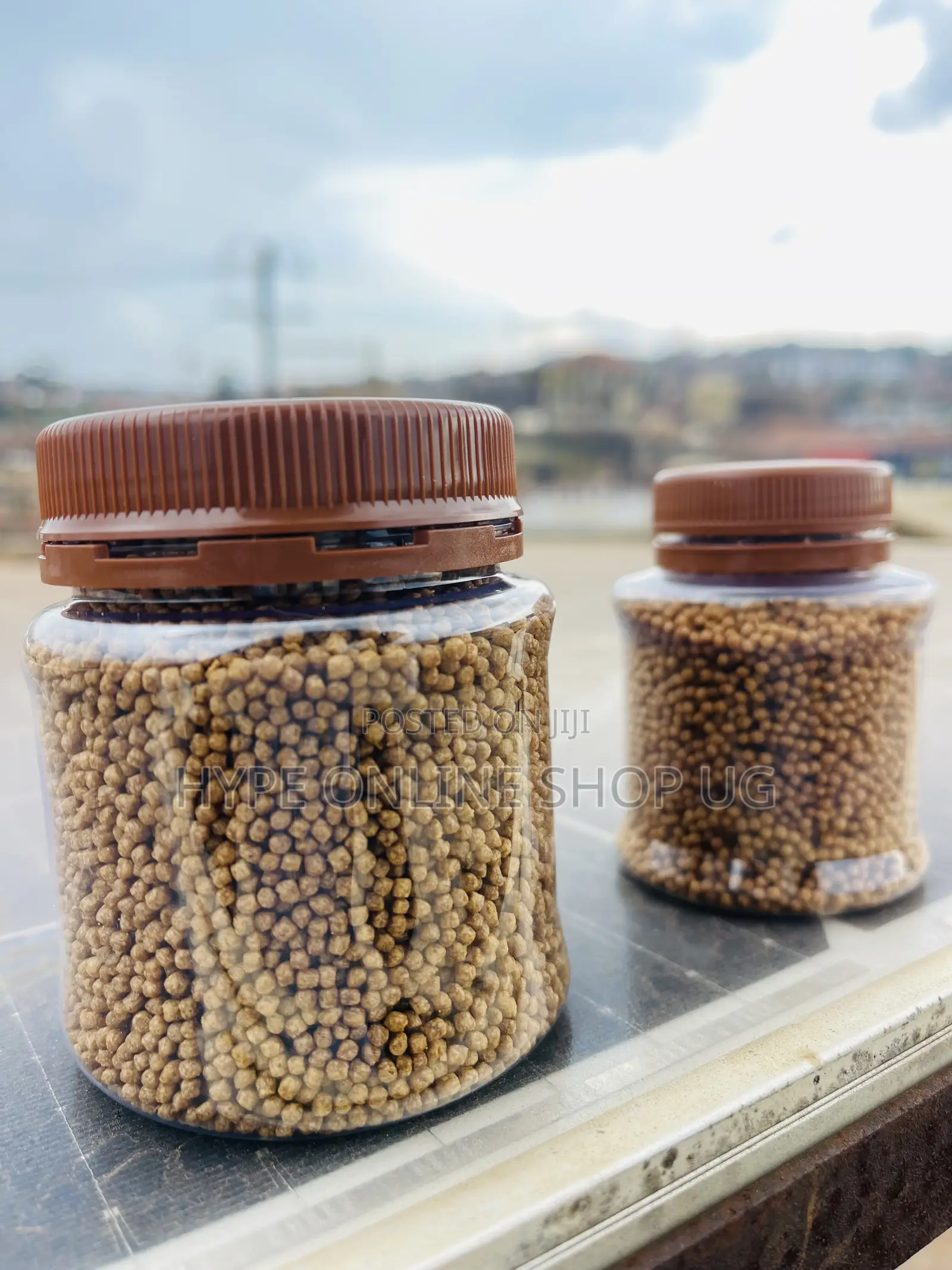 Improve Growth Rates Aquarium Fish Feeds