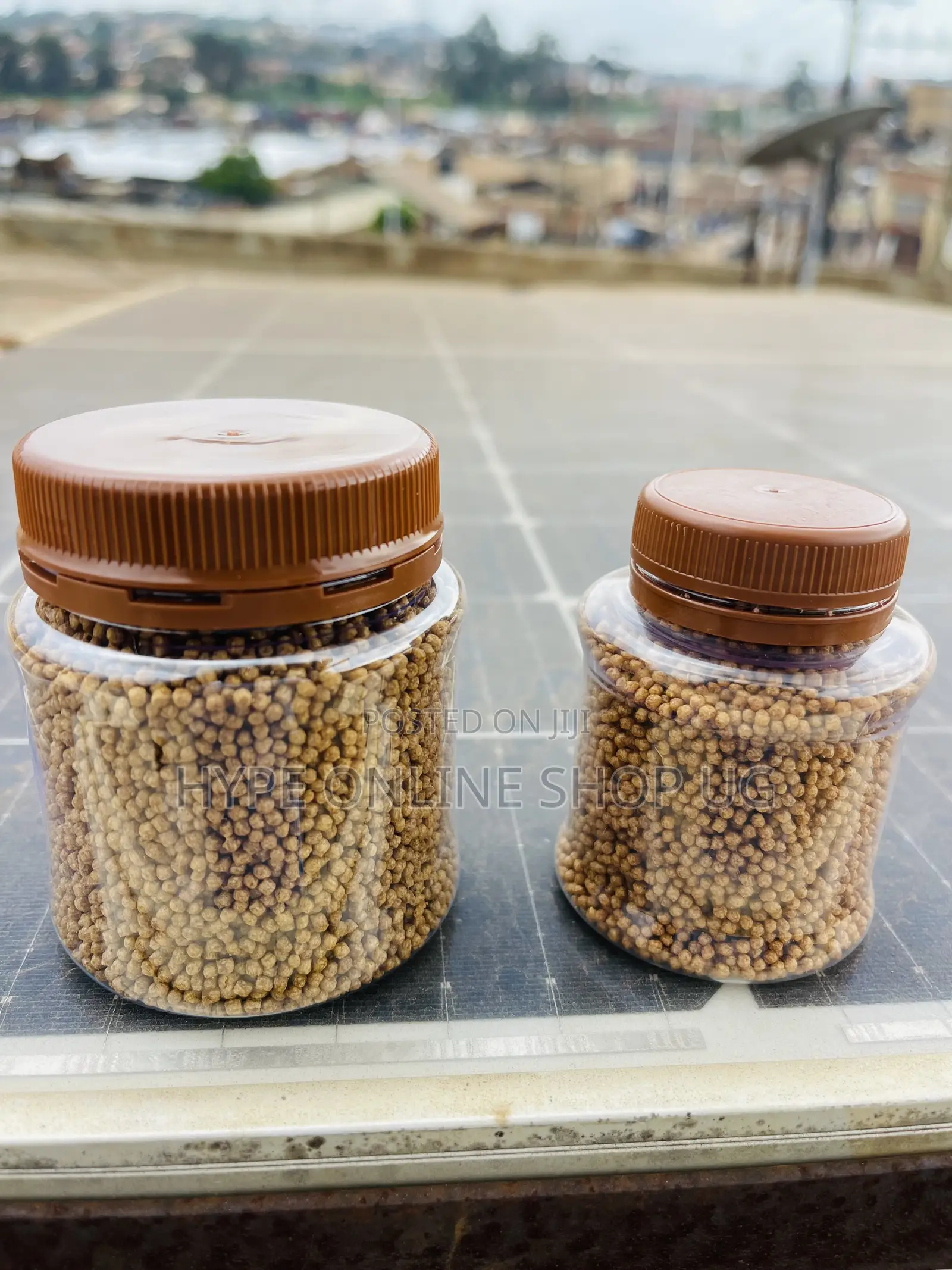 Improve Growth Rates Aquarium Fish Feeds