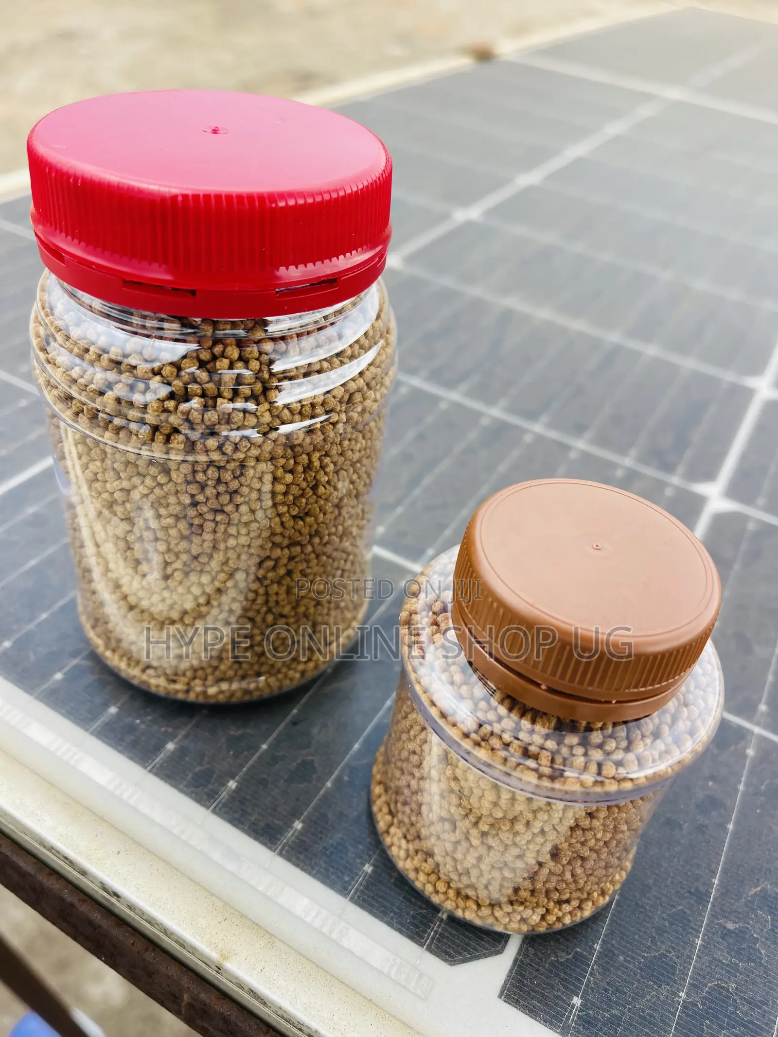 Faster Weight Grow Feeds for Aquarium Fish