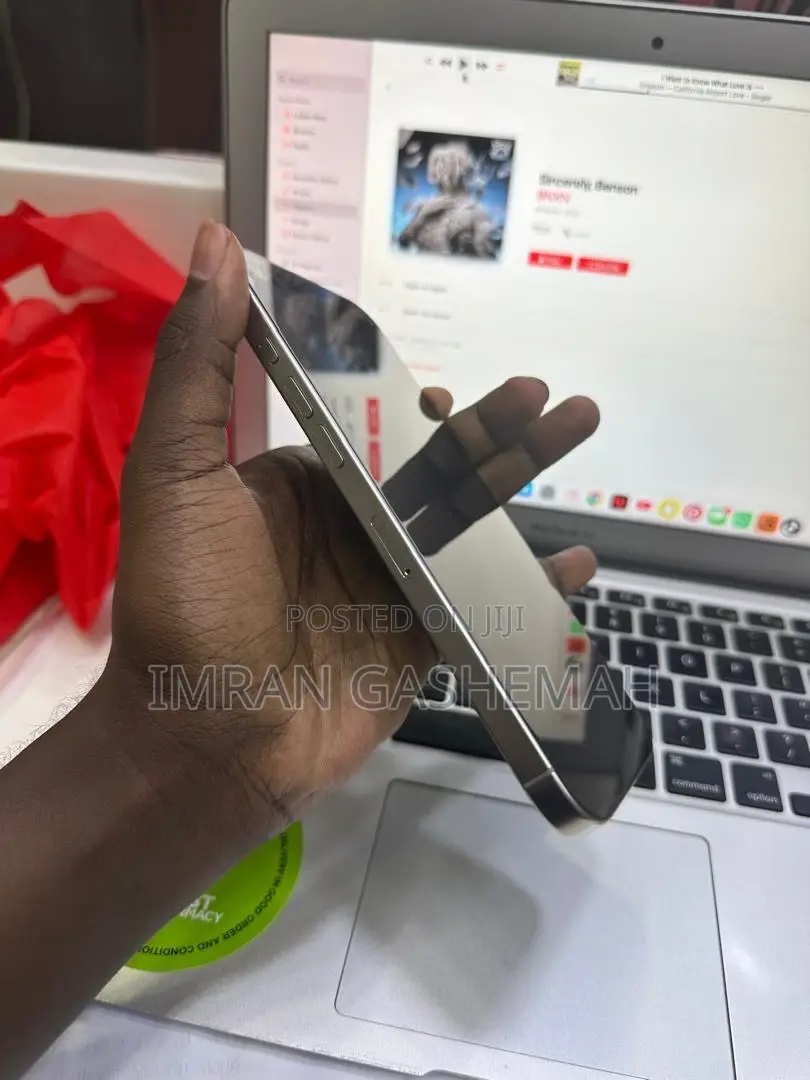 Apple iPhone 16 Pro Max 256 GB Gray