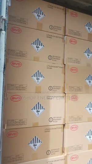 Byd Lithium Batteries Lv5.0+