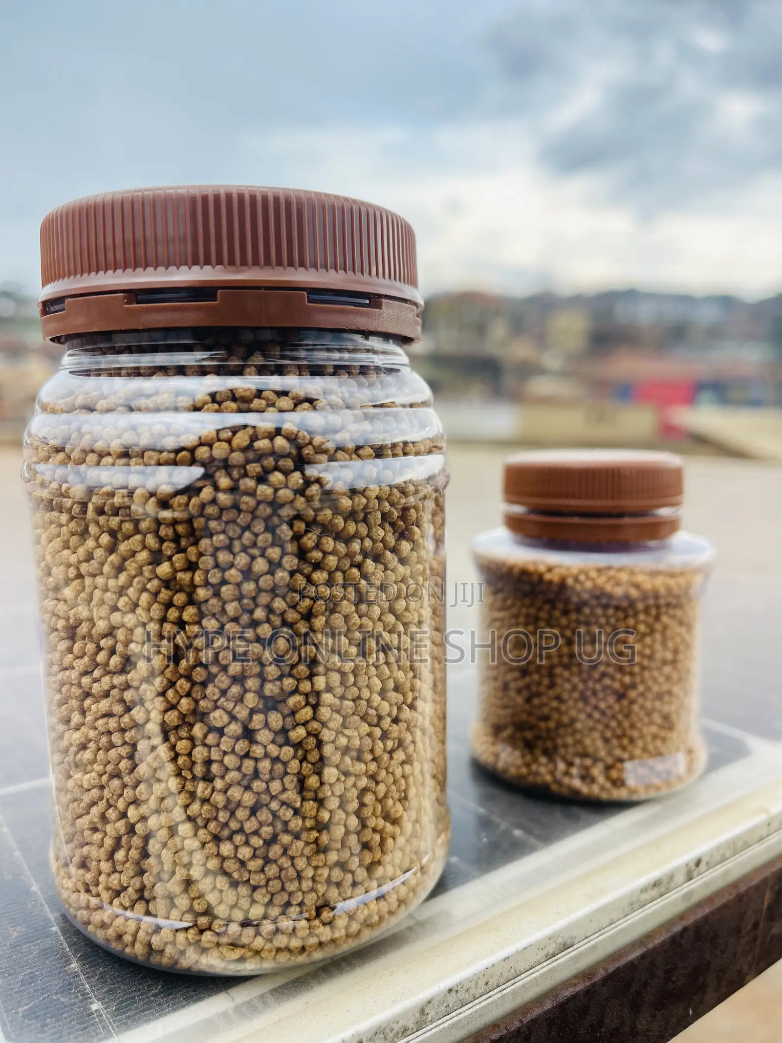 Well Balanced Vitamins Fish Feeds
