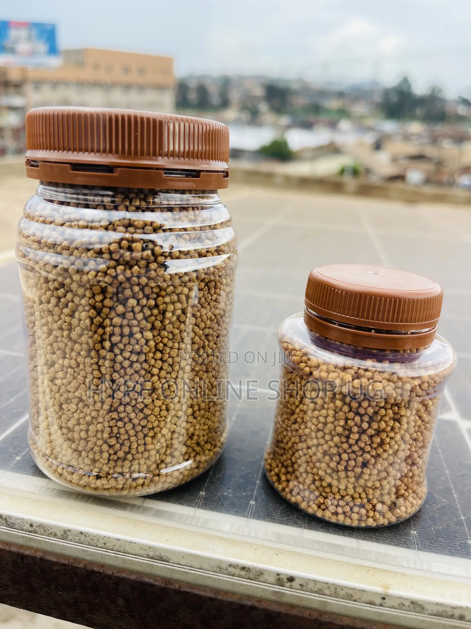 Well Balanced Vitamins Fish Feeds