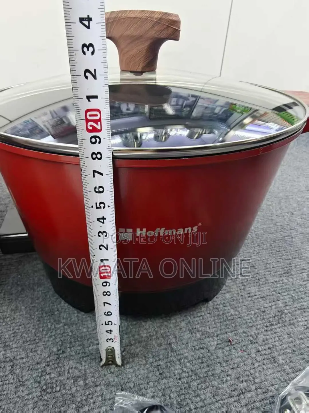 9l Hoffmans 1600w Electric Hot Pot Non-Stick Cook Pot Multi-Functional