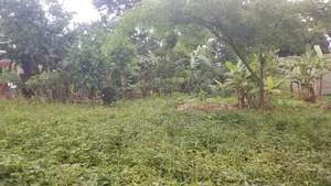 60by 40 Land for Sell in Kitagobwa After Kitezzi Buwambo Road