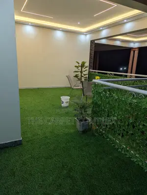 Outdoor Home Grass And Balcony Plants