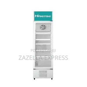 Hisense 500l Chiller