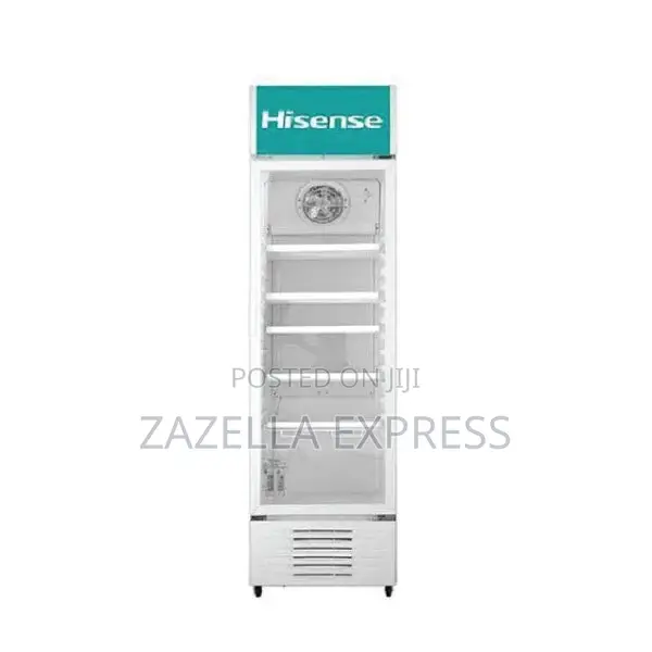 Hisense 500l Chiller