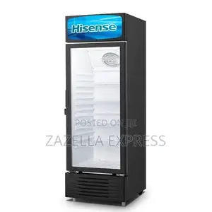 Hisense 500l Chiller