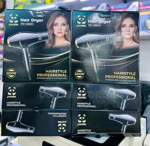 Panda Pd-H8601 Professional Hair Dryers