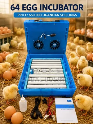 64 Automatic Imported Egg Incubator Hatchery