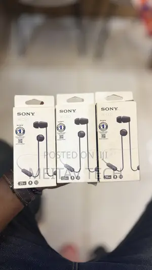 Sony Wi C100 Wireless in-Ear Bluetooth Headphones