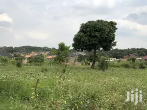 Kira Beautiful Plot Near the Main Road on Quick Sale