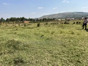 Plot in Biharwe .1 Km From Igongo