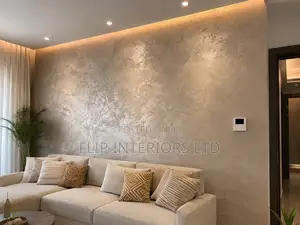 Premium Interior Stucco Finishing