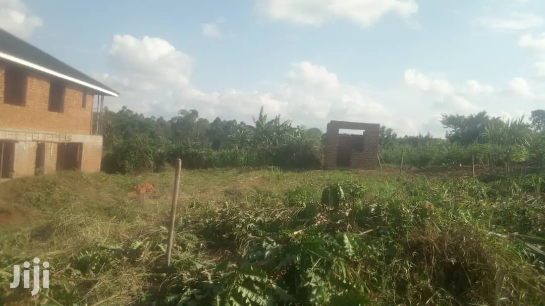 Kiwanga Land