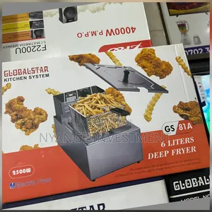 Globalstar Gs-81a 6-Liter Electric Deep Fryer.