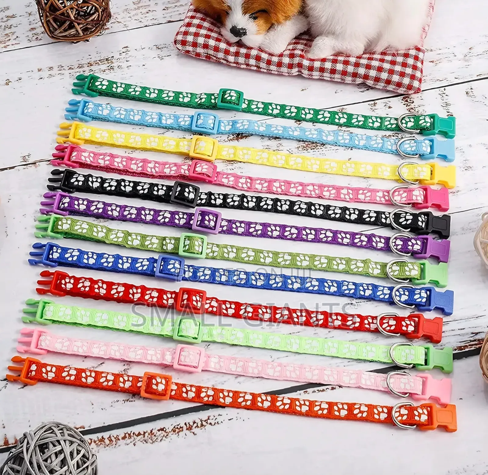 12 Pack Puppy Collars for Litter,