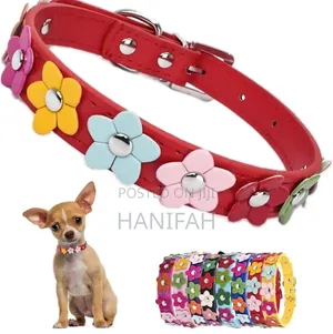 Dog Leather Collars With Fancy Pretty Colorful Flowers