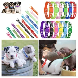 12 Pack Puppy Collars for Litter