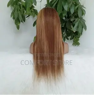 Virgin Human Hair Wigs 13*4 Full Lace Closure Panio Wig 18 Inch