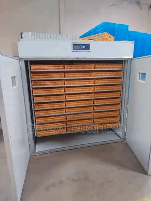 5280 Automatic Imported Egg Incubator Powerful