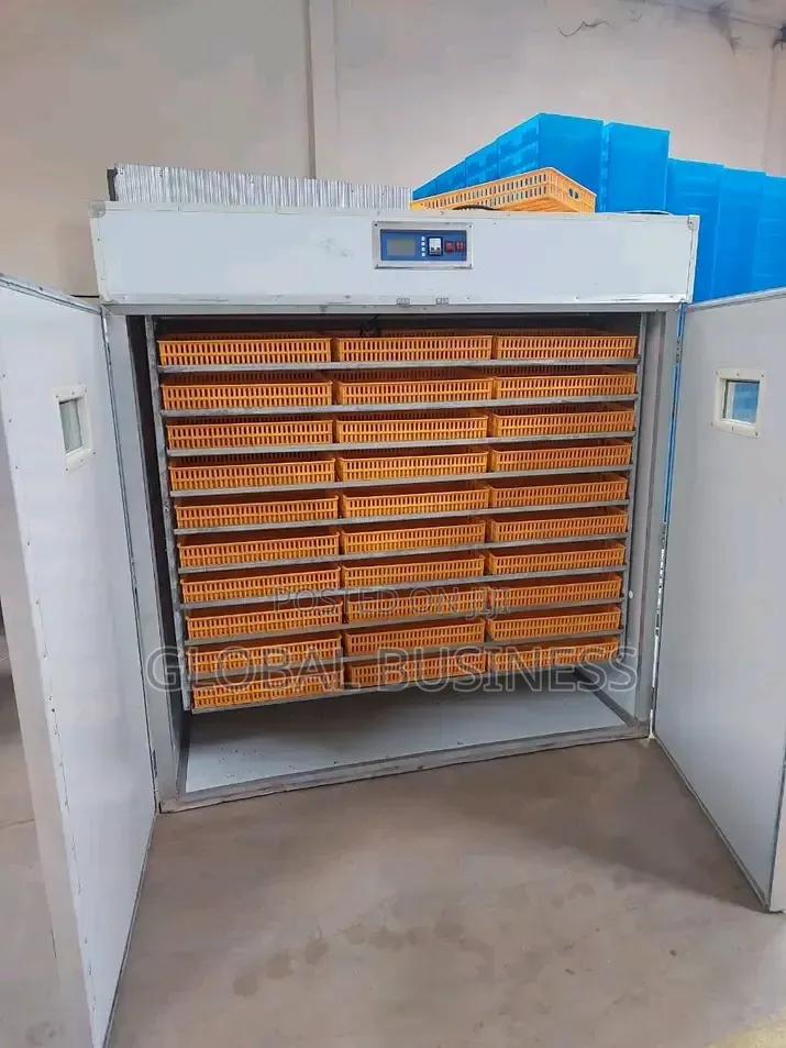 5280 Automatic Imported Egg Incubator Powerful