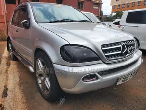 Mercedes-Benz M Class 2005 Silver