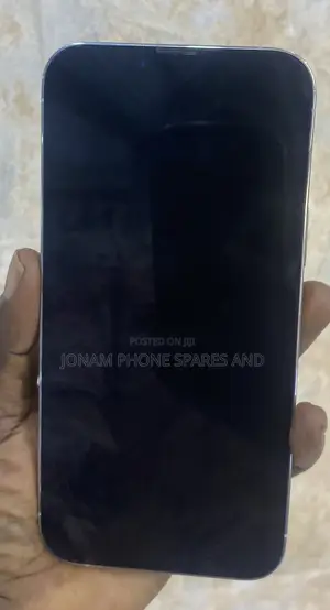 Apple iPhone 13 Pro Max 128 GB Silver
