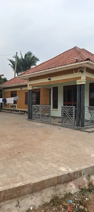 Exterior Rough and Tough Painting