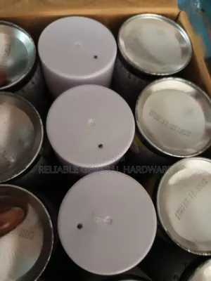 Spray Paint White Fast Dry 315l