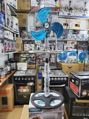 Metallic 3 Blade and Speed Fan
