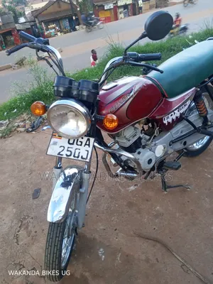 Bajaj Boxer 100 2024 Red