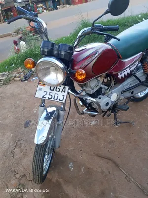 Bajaj Boxer 100 2024 Red