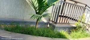 Expert Compound Designer