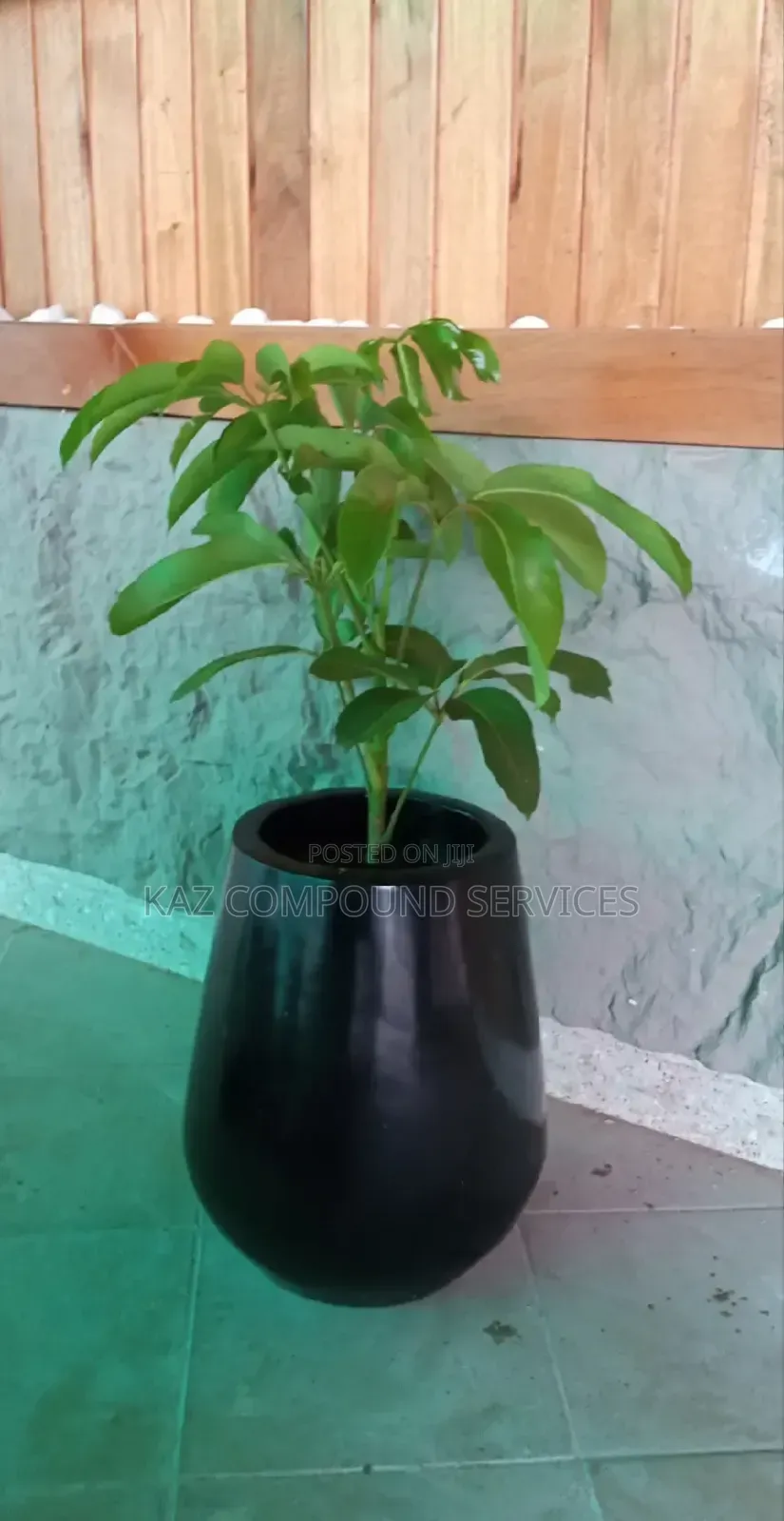Concrete Planter