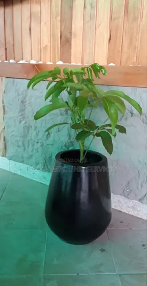 Concrete Planter