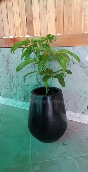 Concrete Planter