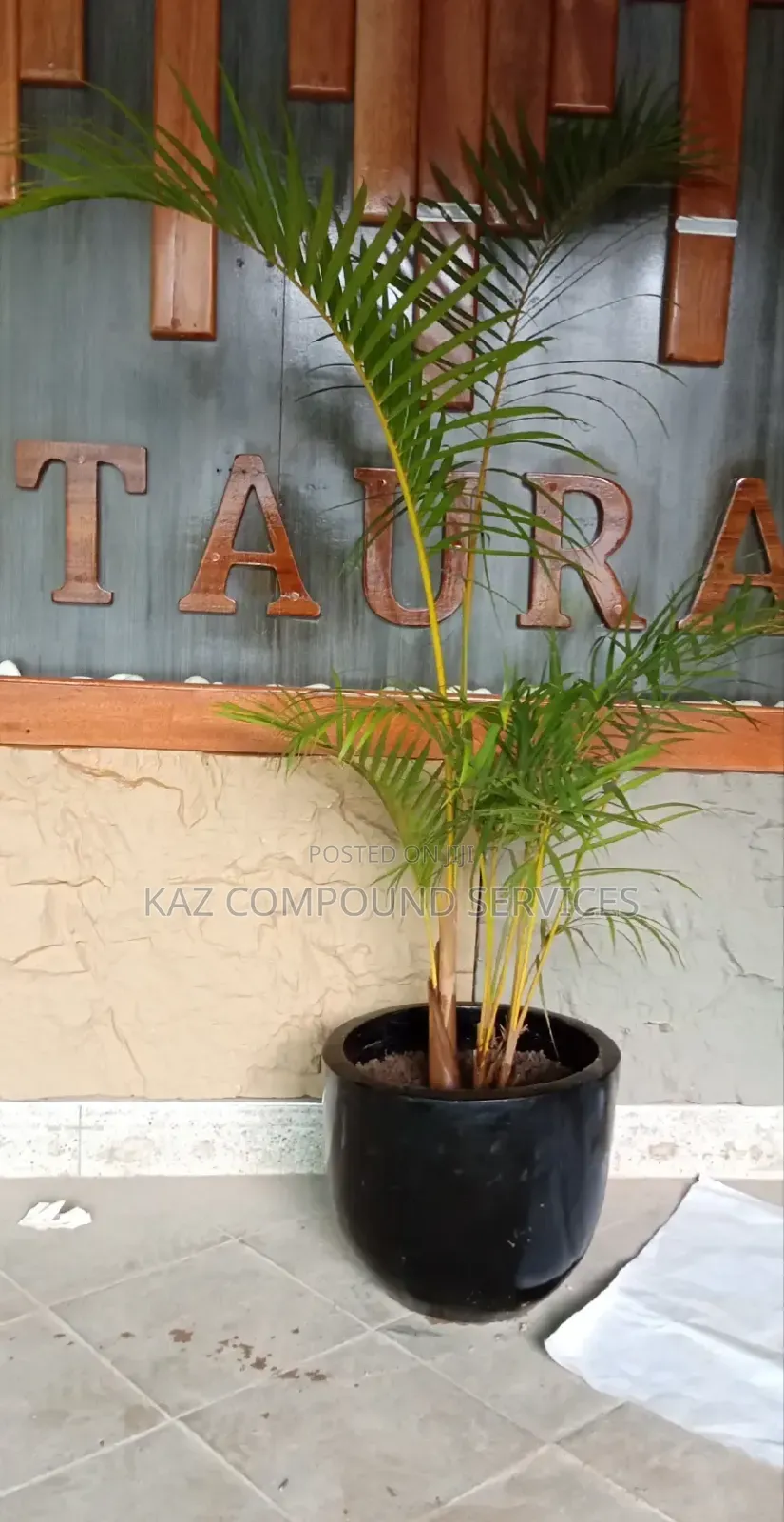 Concrete Planter