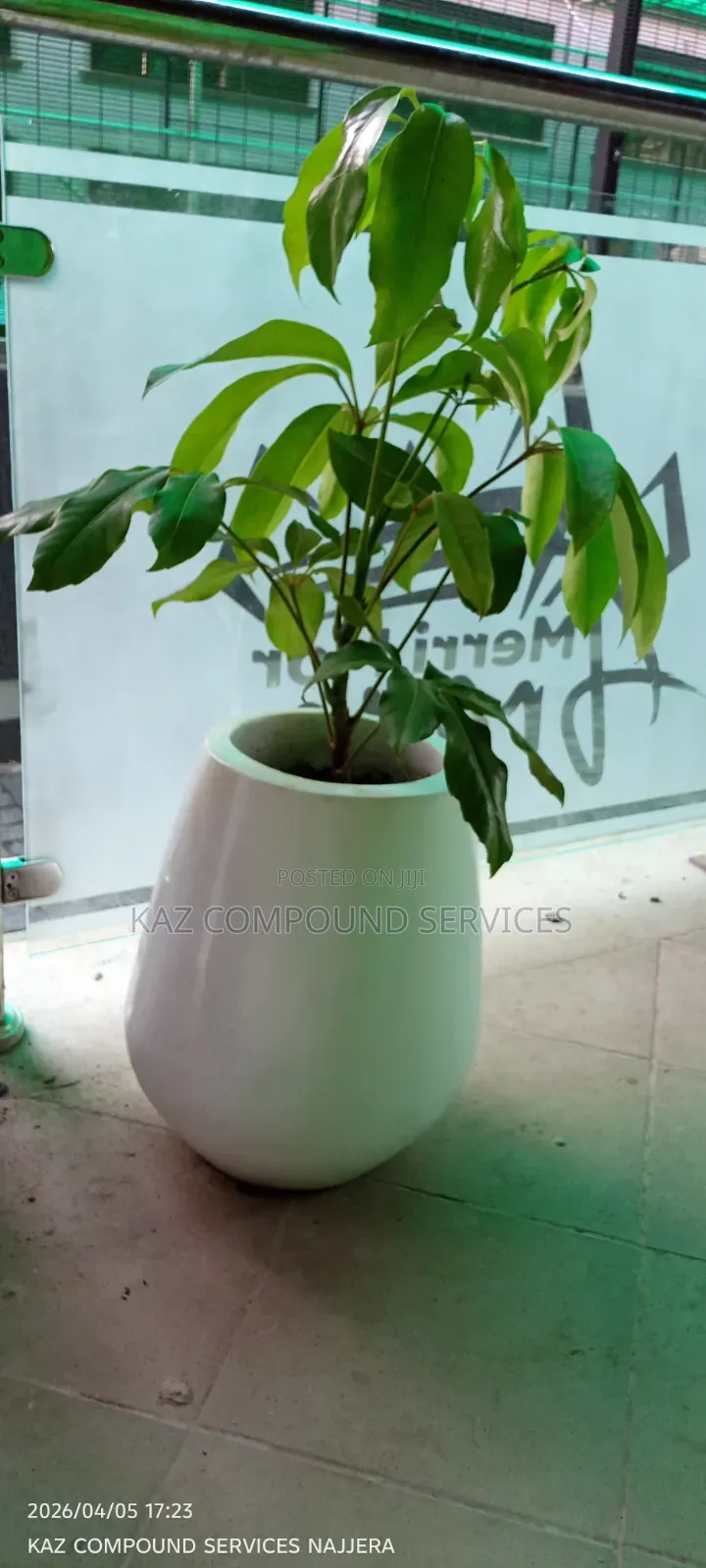 Concrete Planter