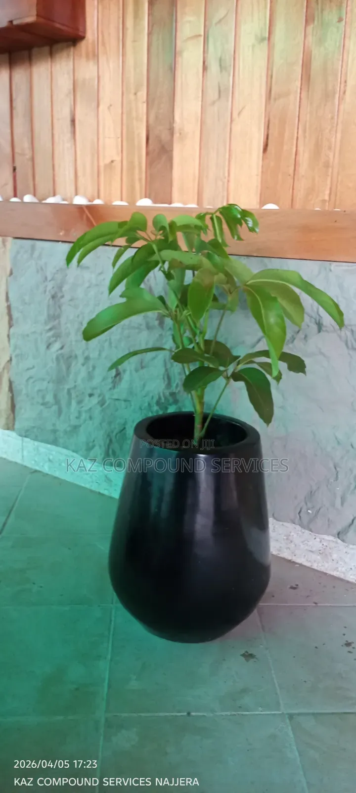 Concrete Planter