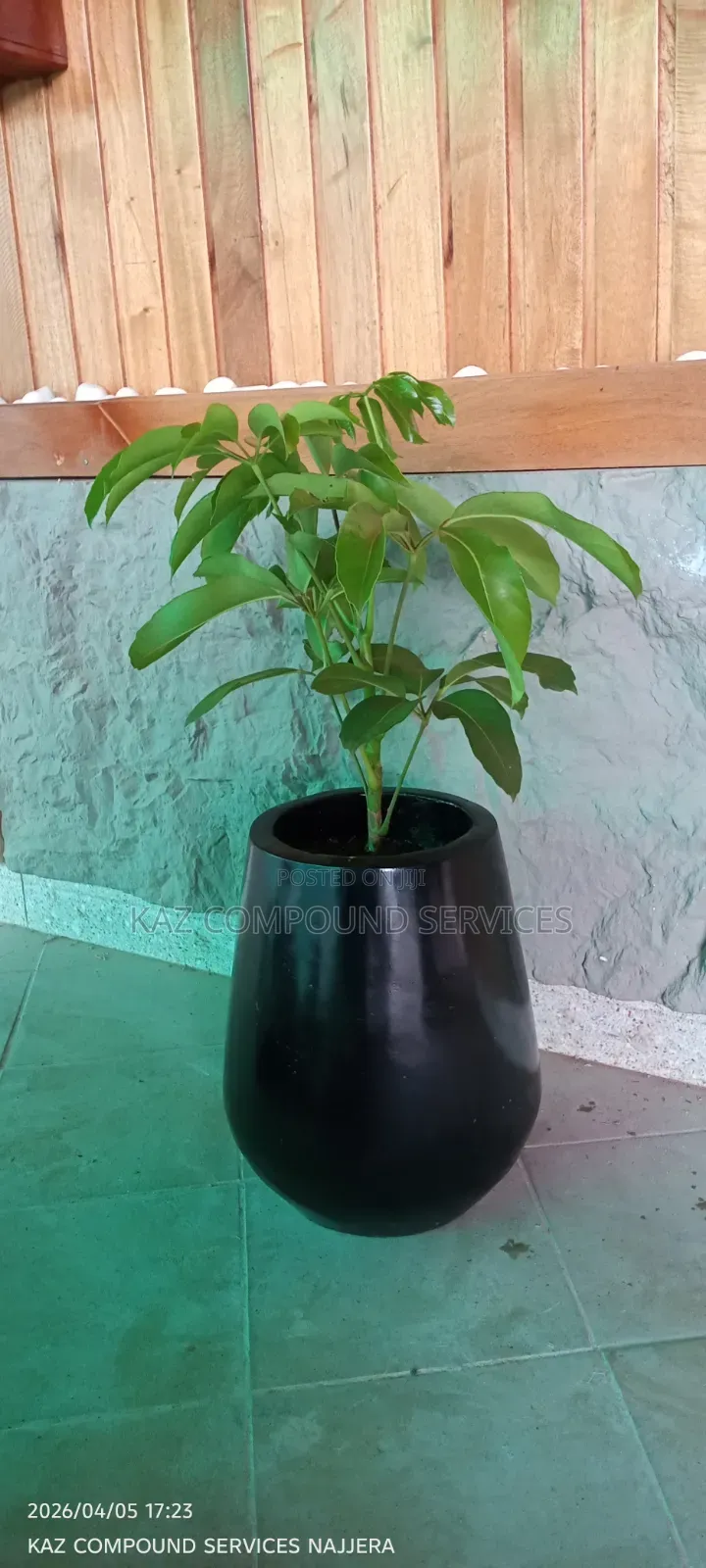 Concrete Planter
