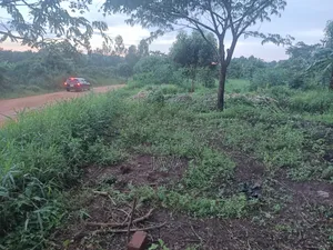 Commercial Lot