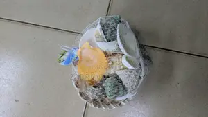 Sea Shell Decoration Set