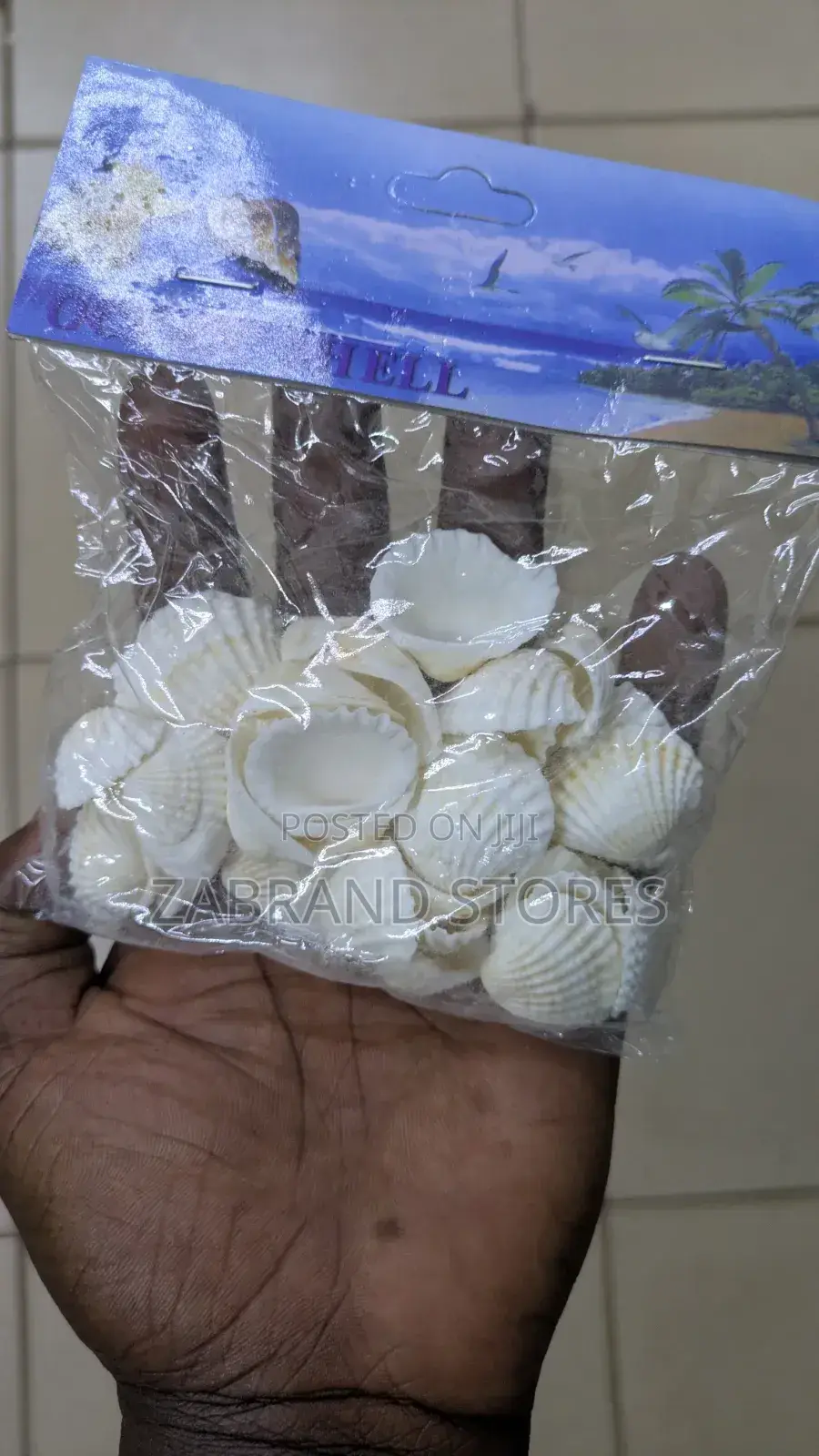 White Ocean Shell Decoration
