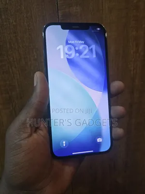 Apple iPhone 12 Pro Max 256 GB Blue