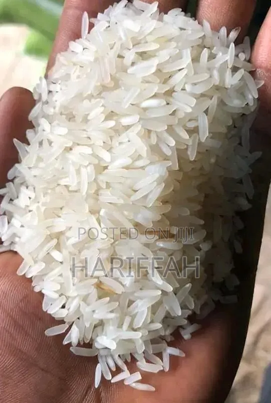 Premium Rice